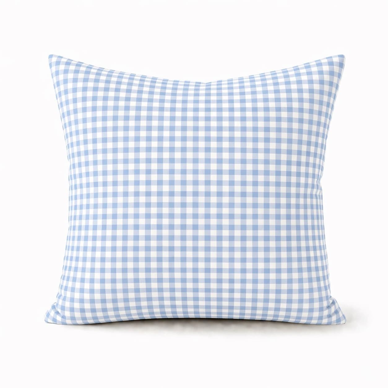 Face avant du coussin vichy Bleu clair